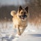 Generative AI illustrations, Winter photos of a dog. Dog playing in the snow.