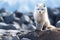 Generative AI Image of Baby Fox Standing on a Rock in Winter Season