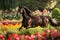 Generative AI Image of Brown Horse Equine Animal Running Fast in Flower Park in Spring