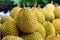 Generative AI Image of Delicious Durians Fruit Harvesting in the Garden