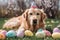 Generative Ai image of a golden retriever wearing easter bunny ears