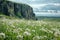 Generative AI Image of Grass with Flowers in Meadow with Rocky Cliff