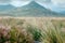 Generative AI Image of Grass in the Pasture with Hill Mountain View in Bright Day