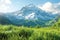 Generative AI Image of Green Grass in Meadow with Mountain View in Bright Day