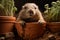 Generative AI Image of Groundhog Marmot Animal in Plant Pot