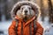Generative AI Image of Groundhog Marmot Wearing Jacket in Snow Winter Season