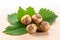 Generative AI Image of Hazelnuts with Green Leaves on Wooden Background