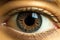 Generative AI Image of Macro Shot of Brownish Black Human Eye Looks Detail