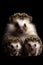 Generative AI image of three Hedgehogs