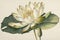 Generative AI. A lotus flower in watercolor isolated on a white background