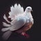 Generative AI: lovely very feathery white dove on black background