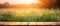 generative AI. Nature\\\'s Serenity: Empty Wooden Table in Front of Wild Meadow at Sunset