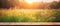 generative AI. Nature\\\'s Serenity: Empty Wooden Table in Front of Wild Meadow at Sunset