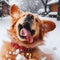 Generative AI Playful Golden Retriever dog in the snow