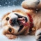 Generative AI Playful Golden Retriever dog in the snow