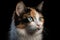 Generative AI. Portrait of a calico cat . Calico cats are domestic cats with a spotted or particolored coat that is predominantly