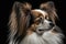 Generative AI. Portrait of a cute tricolor papillon. Continental spaniel dog