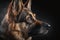 Generative AI. Portrait of a lovely german shepherd dog on dark background