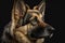 Generative AI. Portrait of a lovely german shepherd dog on dark background