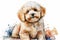 Generative AI. Portrait of Maltese Dog. Toy or Miniature Poodle, watercolor, animal illustration