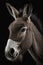 Generative AI. Portrait of young donkey, grey and brown. Farm animal