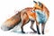 Generative AI. Red fox forest animal. Watercolor illustration. Wild cute hunting fox. Wildlife furry animal with red fur and black