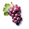 Generative AI Ripe Wine Red Dark Grapes on White Background