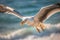 Generative AI : sea bird seagull nature closeup