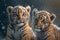 Generative AI. Two tiger cubs in the snow. Beautiful photo digital painting