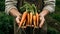 Generative AI, vegetables in the hands of a farmer in the garden, carrots from the ground