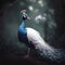 Generative AI: withe peacock in a beautiful background
