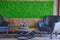 Generic concept image of decorative moss. Used for interior design, organic fresh living or office spaces, wall with