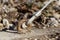 Generic eyelet and steel cables to guy ropes to strengthen a building structure, green leafy background, sunny day