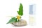 Generic Perfume and Sun Flower on stone, white background