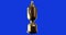 Generic rugby cup tournament trophy rotating