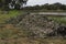 Generic vegetation debris accumulated at a rivers edge after floods