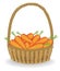 Generous harvest. In a beautiful wicker basket, fresh carrots. The vegetables are very tasty and vitamin. It is necessary for