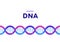 Genetic abstract concept. Vector color flat illustration. Horizontal banner template with seamless dna border and copy space