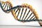 Genetic chromosome DNA helix closeup on white background