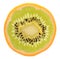 Genetic engineering - kiwi inside of an orange