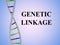 Genetic Linkage concept