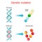 Genetic mutation. Normal and mutated genes that synthesis normal and Abnormal proteins