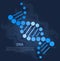 Genetic science. DNA molecule laboratory scientific research, gene structure information banner