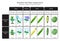 Genetic Trait Pea Plant Mendel Experiment Infographic Diagram