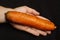 Genetically modified organism GMO concept : giant carrot on the human palm