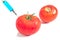 Genetically modified tomato and organic tomato