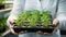 Geneticist holding tray of mutated plant samples