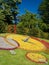 Geneva Flower Clock