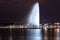 Geneva fountain at night