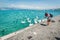 Geneva Leman lake with group of white swan